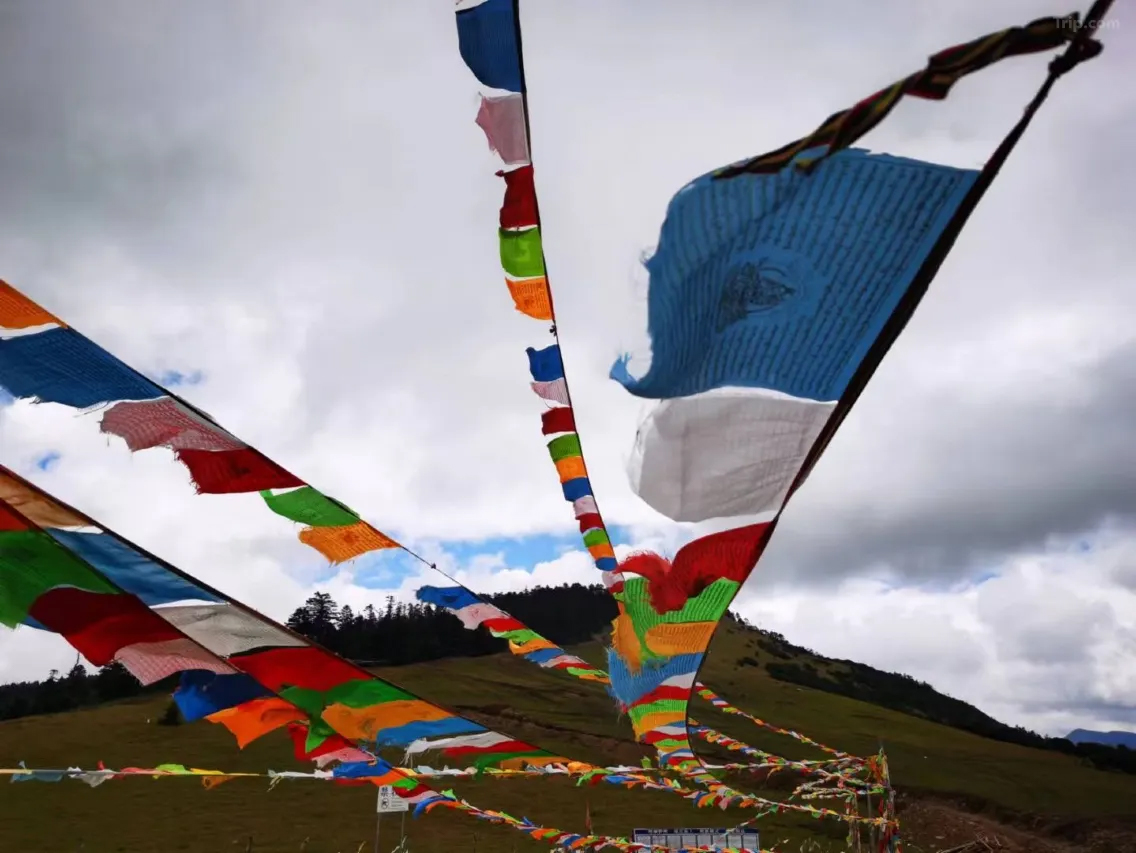 图层 1