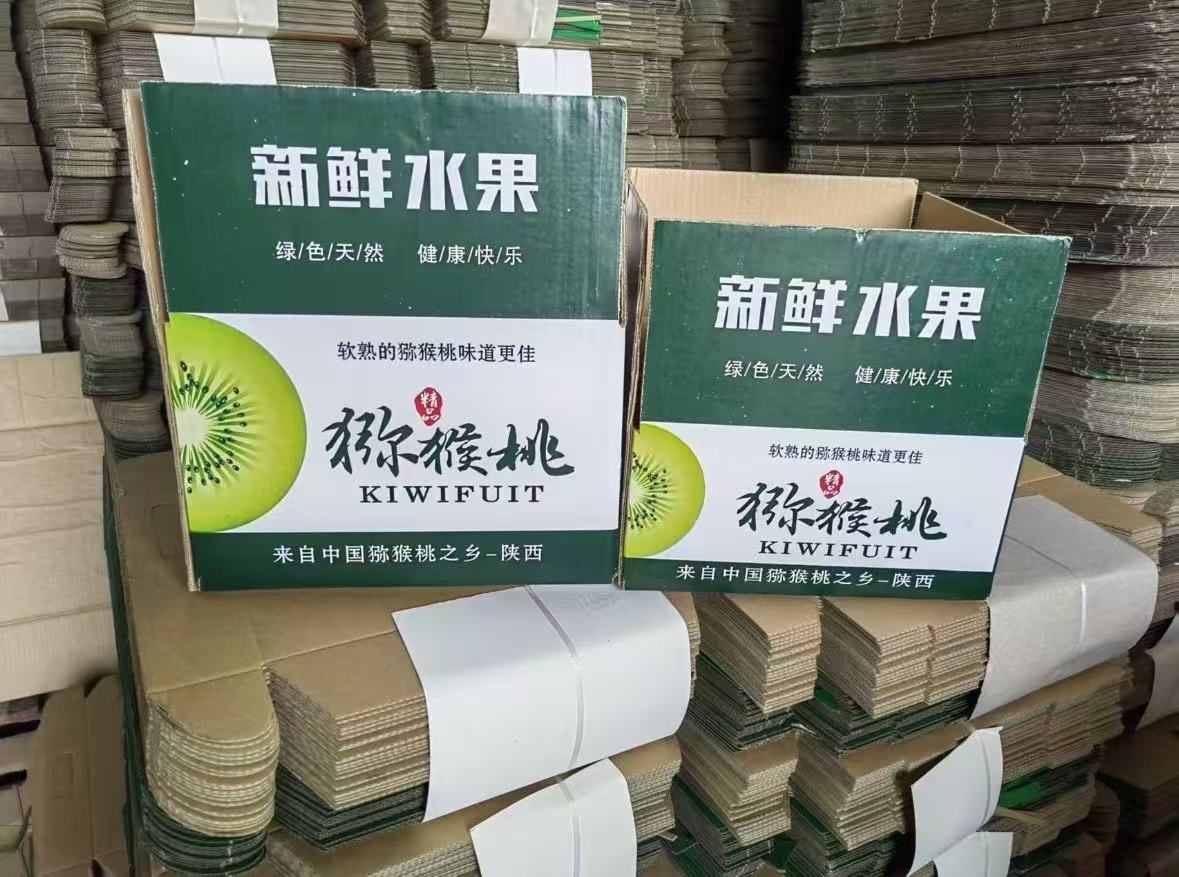 现摘猕猴桃