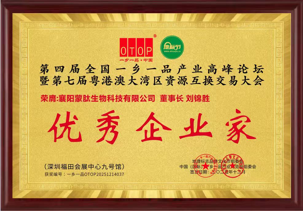 优秀企业家