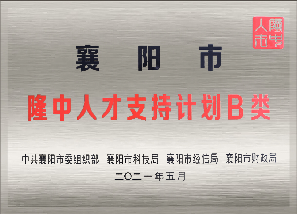 隆中人才支持计划B类