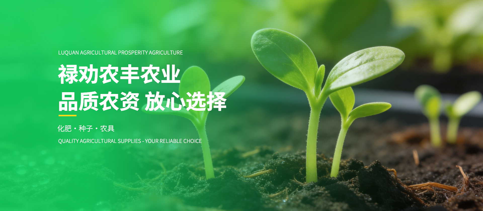 首页Banner03