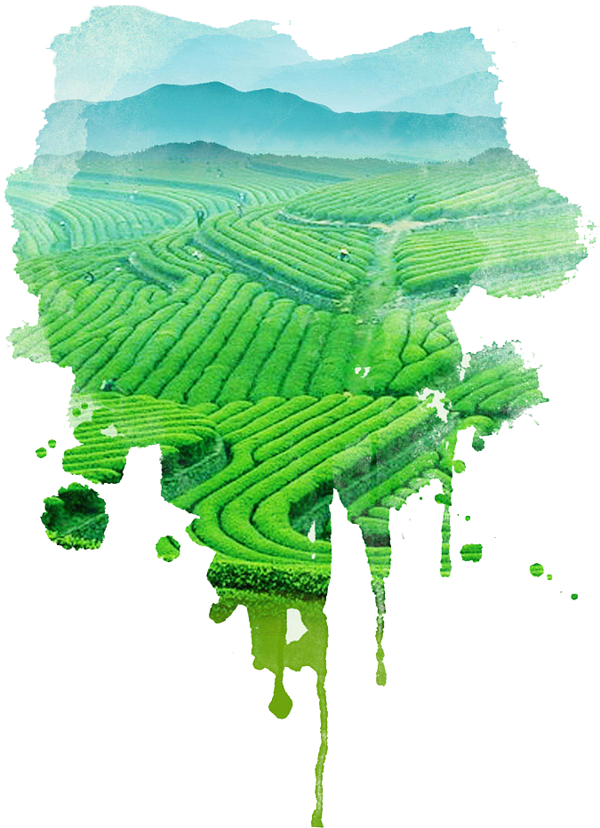聚焦云南农资企业发展，助力现代农业迈向新高峰