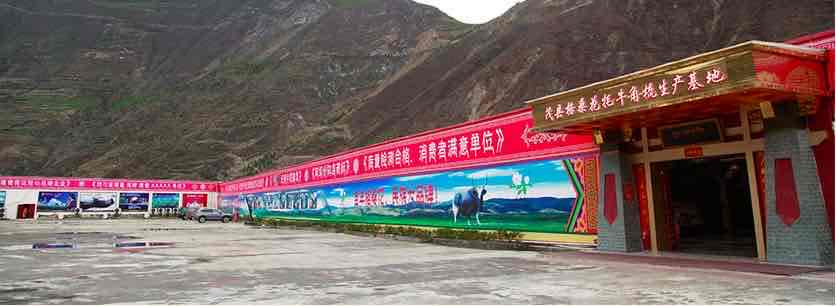 阿坝桑花牦牛角梳生产基地