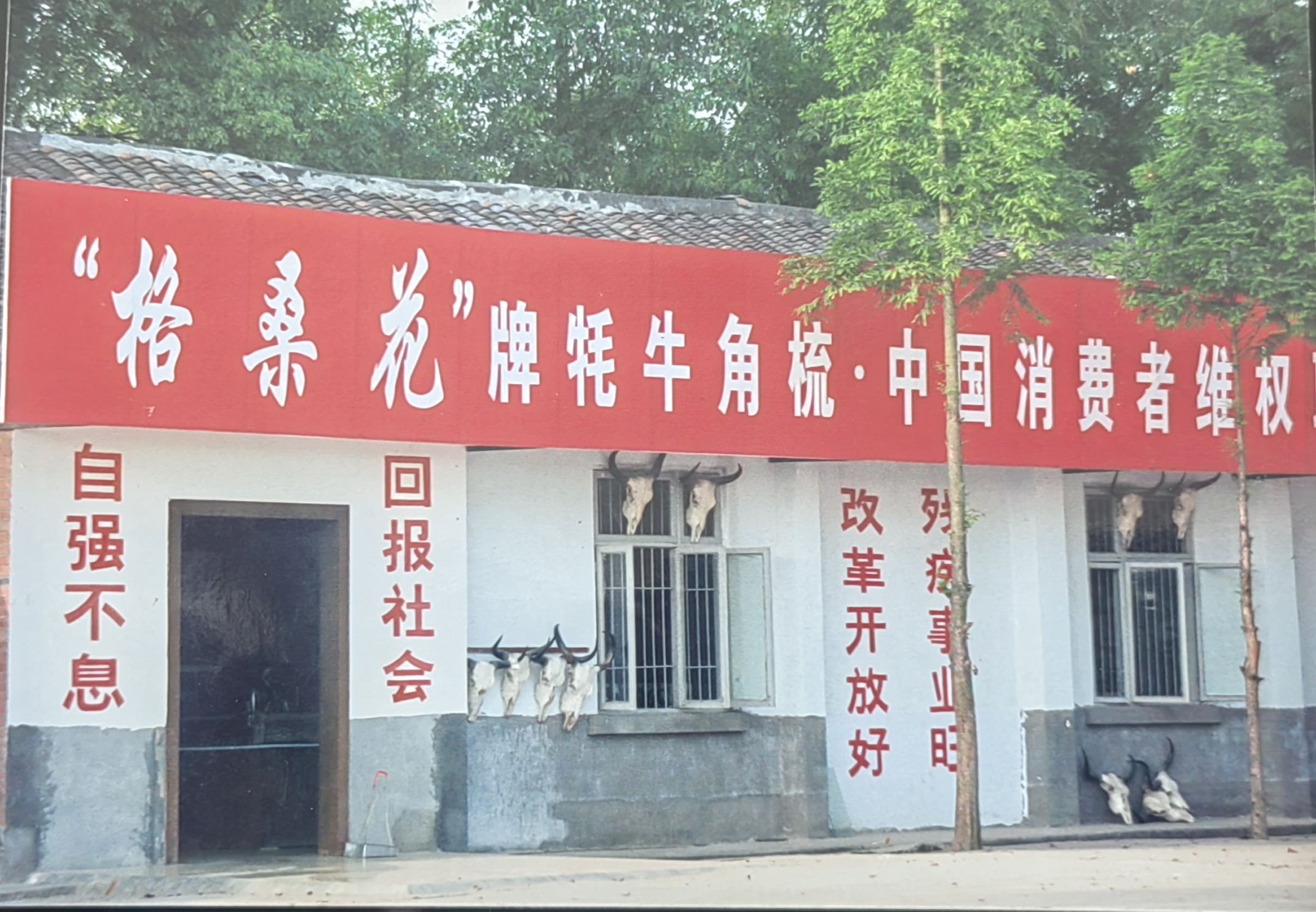 友情主题礼品梳