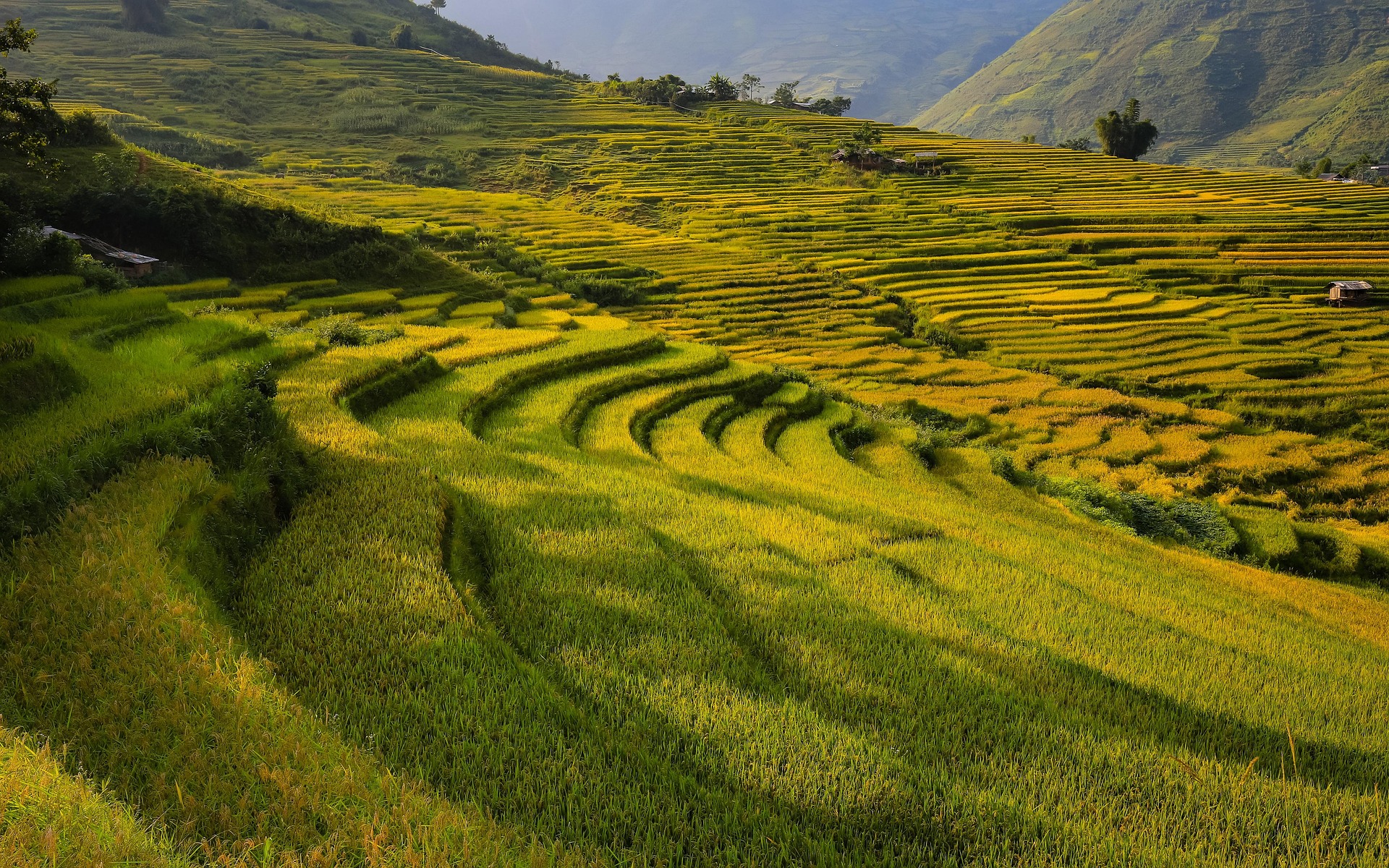oliver_nguyen-mountain-6576362_1920