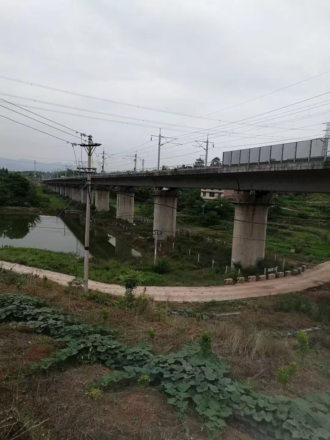 渝万铁路客运专线杨家小湾双线特大桥工程案例