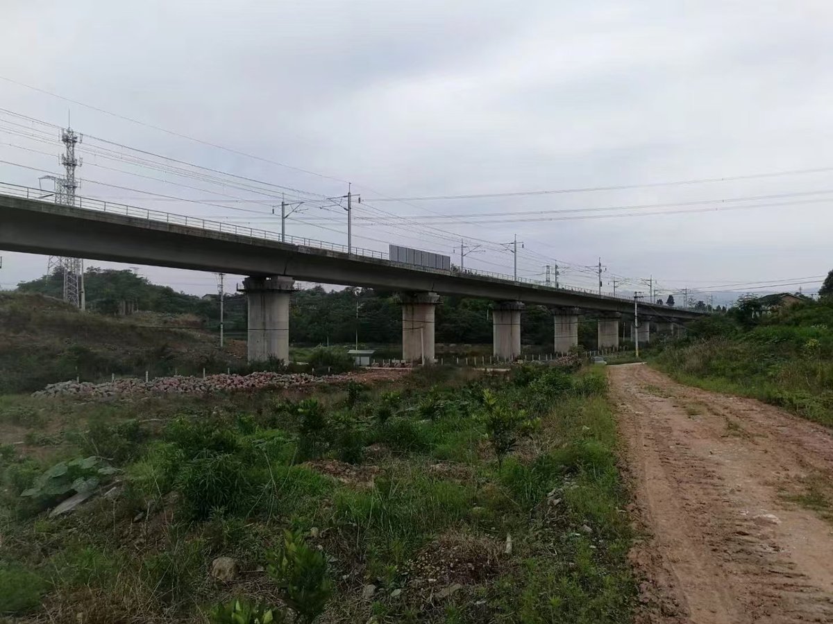 渝万铁路客运专线杨家小湾双线特大桥工程案例