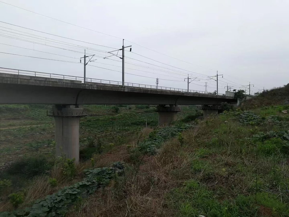渝万铁路客运专线杨家小湾双线特大桥工程案例