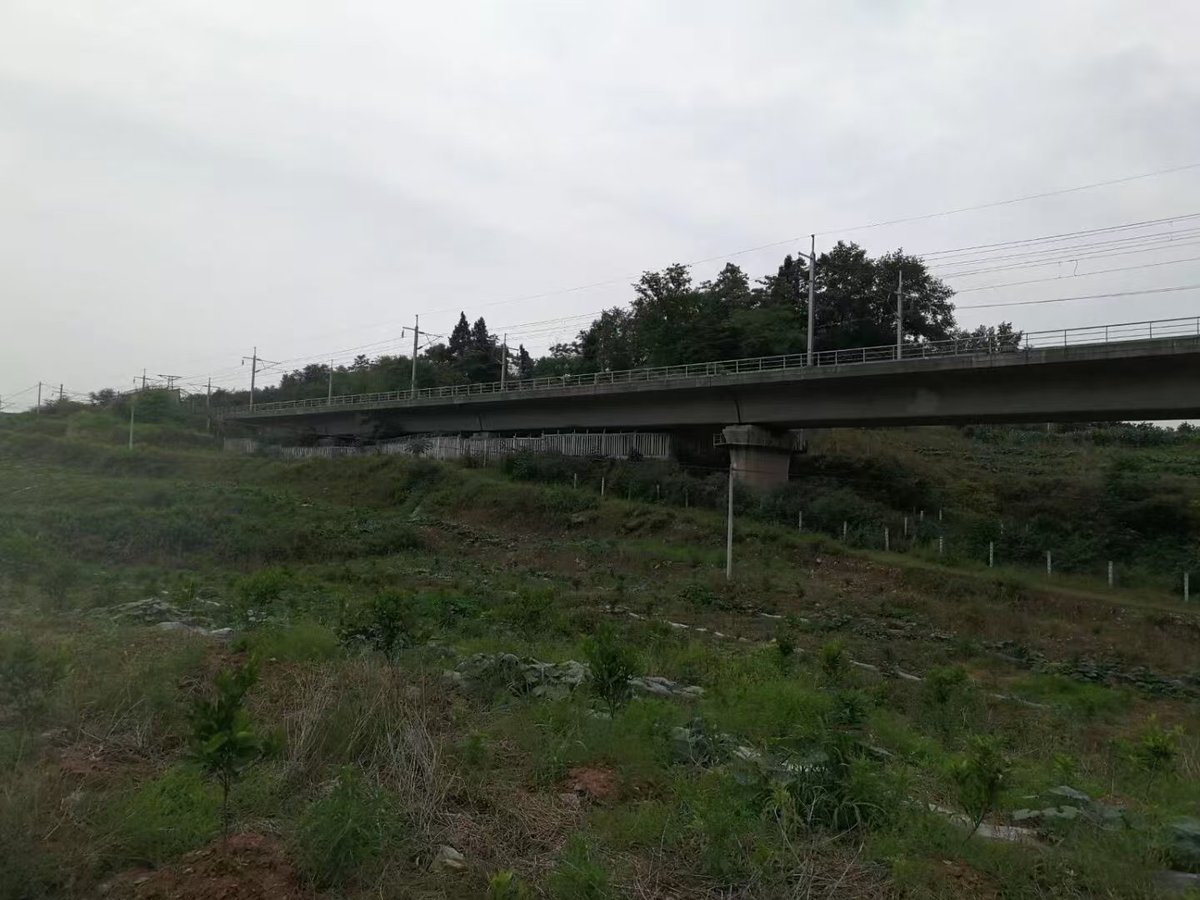 渝万铁路客运专线杨家小湾双线特大桥工程案例