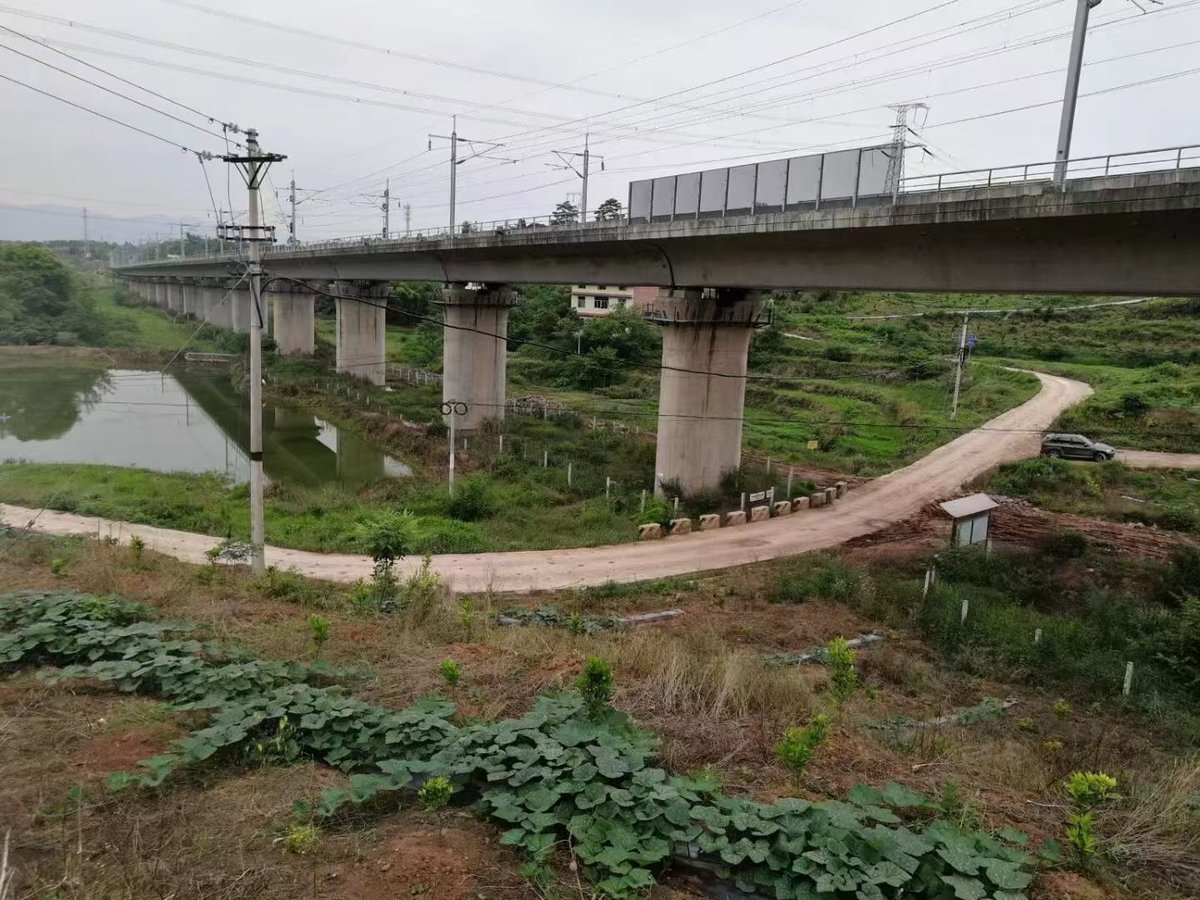 渝万铁路客运专线杨家小湾双线特大桥工程案例