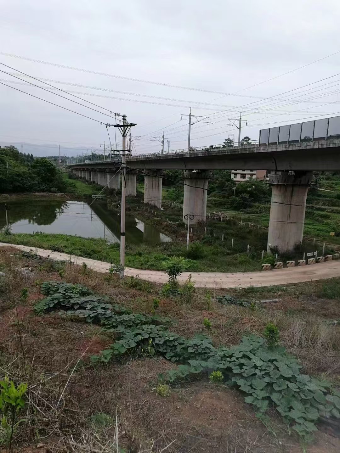 渝万铁路客运专线杨家小湾双线特大桥工程案例