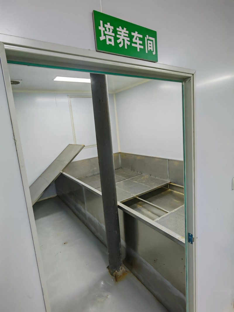 培养车间