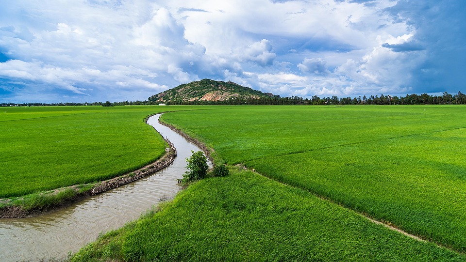 agriculture-6560523_960_720