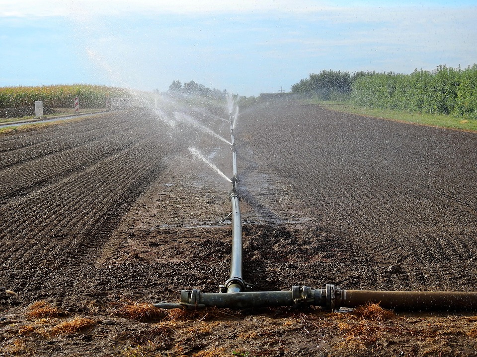 field-1680638_960_720