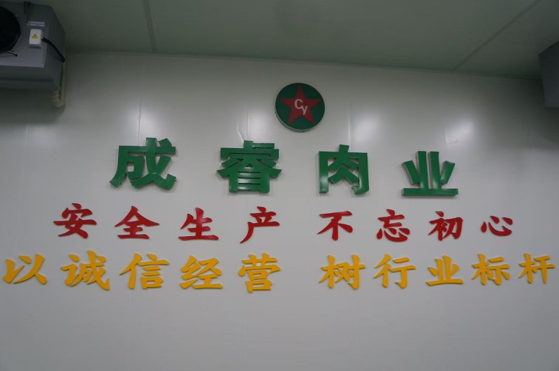 公司介绍