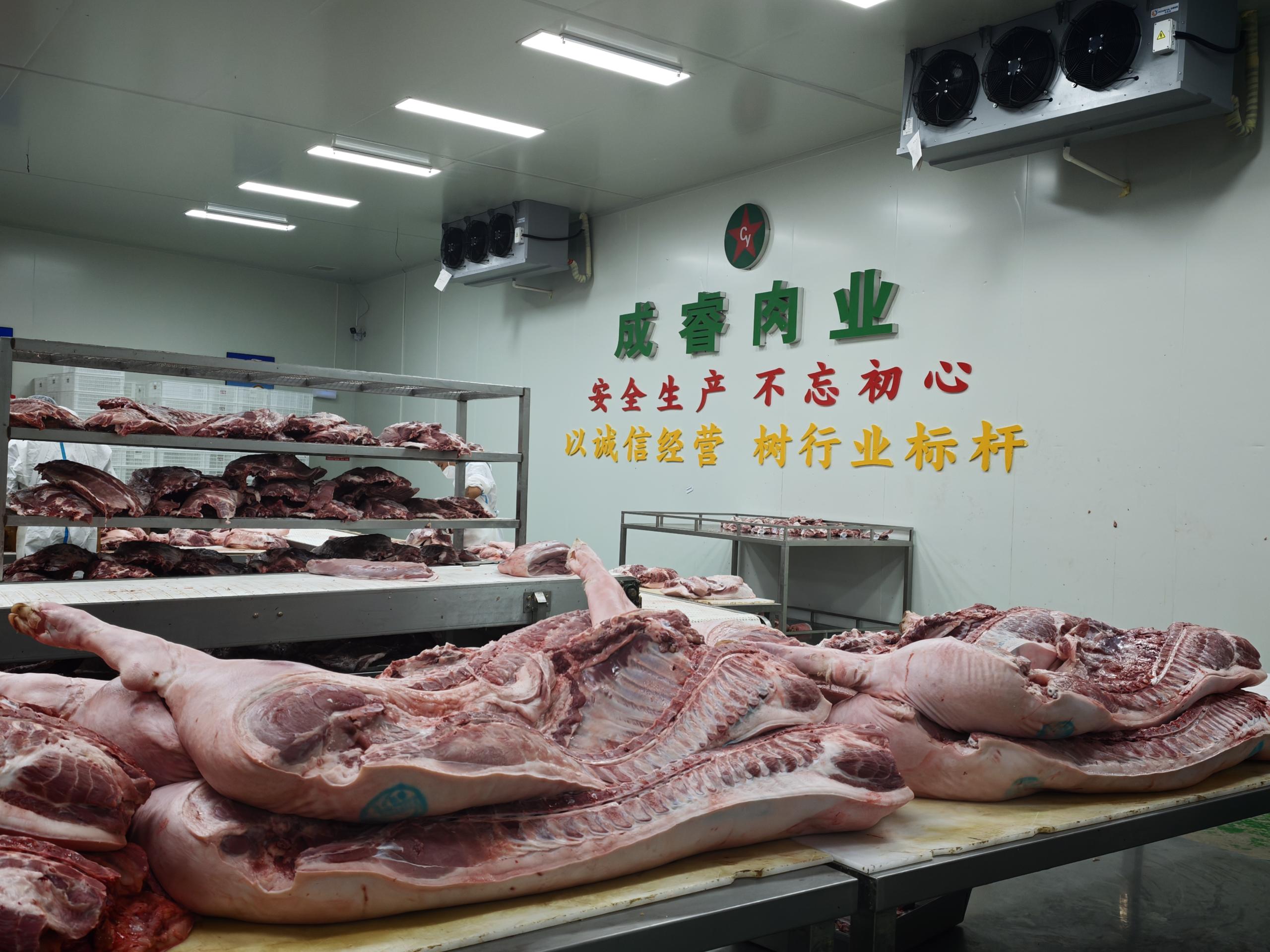 国内主流生猪品种对比:土猪与外来瘦肉猪区别