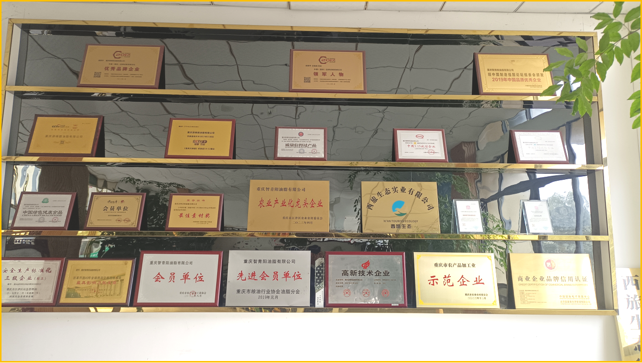 重庆智青阳油脂有限公司-荣誉资质墙