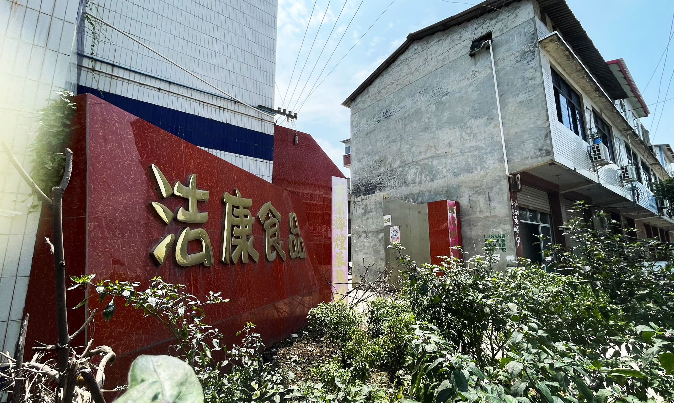 公司简介