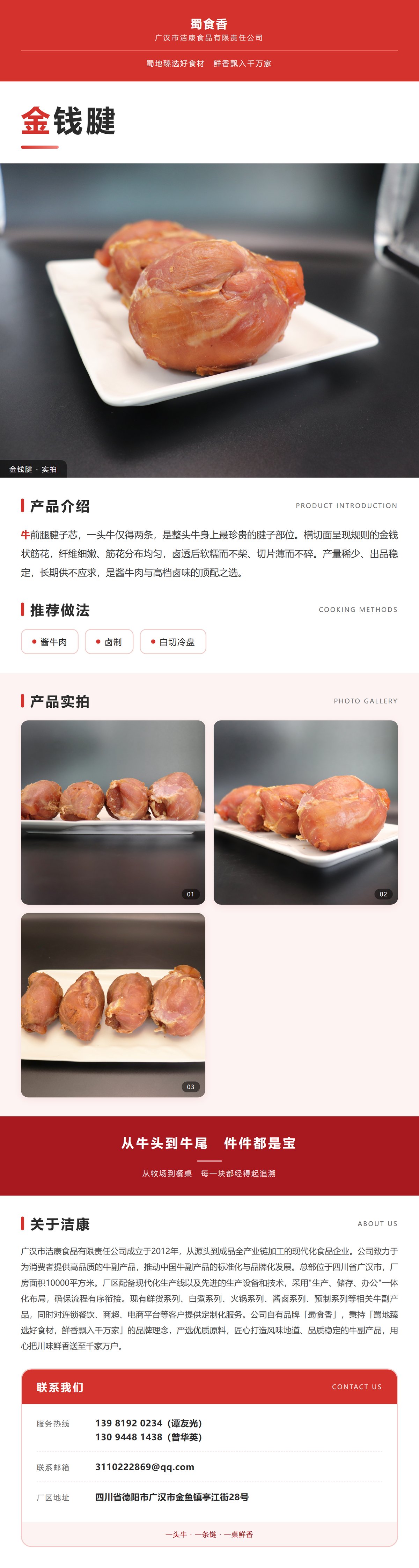 金钱腱详情