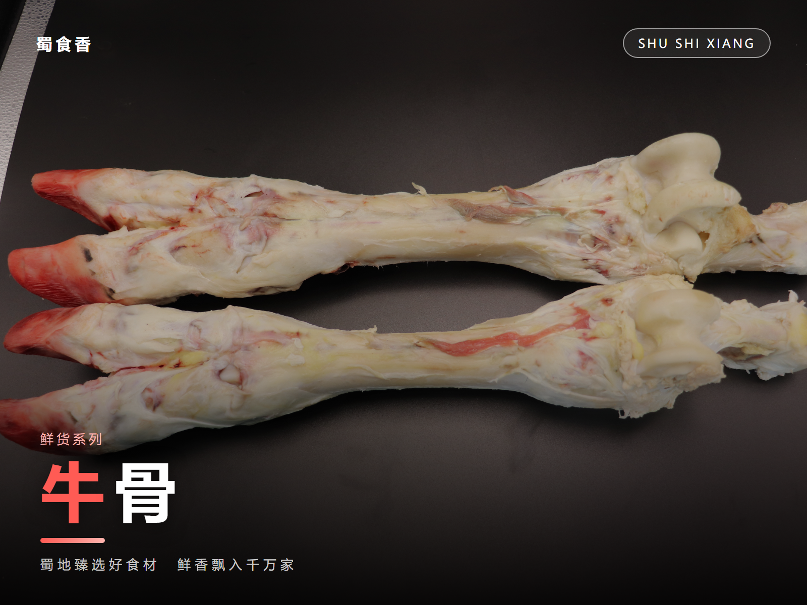 牛骨