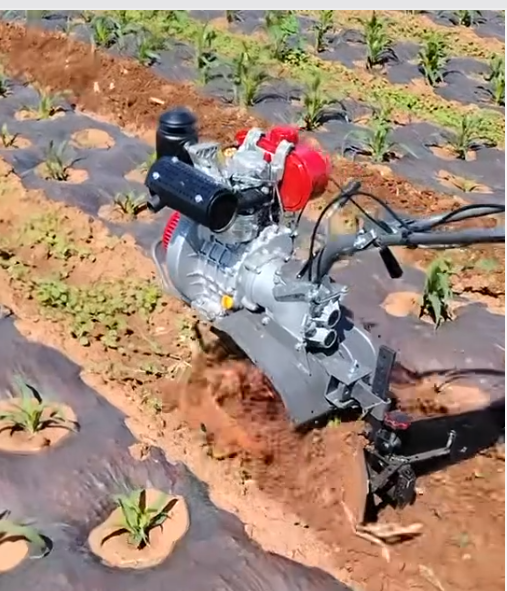 星普173：小型农机的全能之选