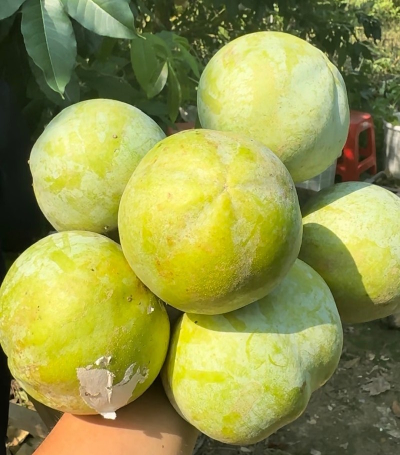 冰淇淋果
