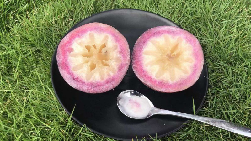 牛奶果