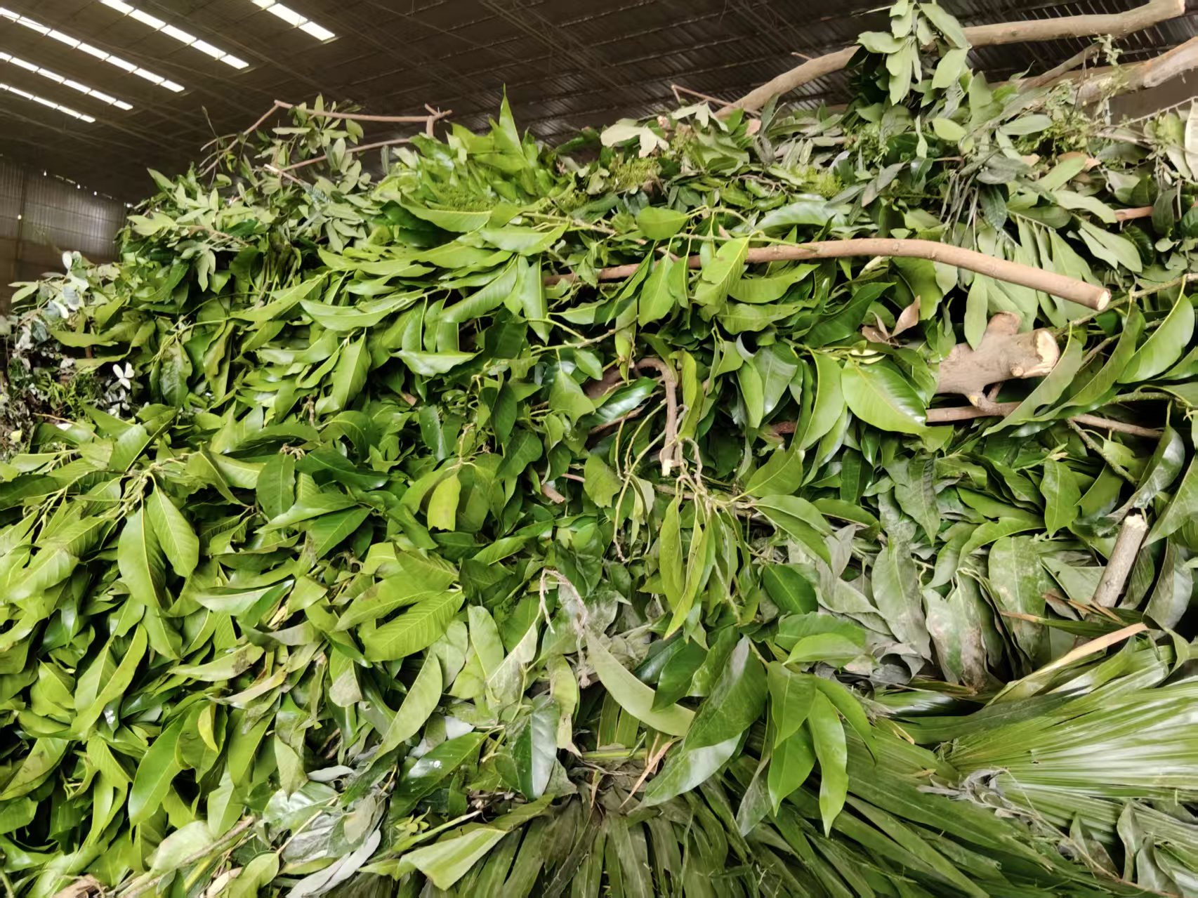 成都绿化废料