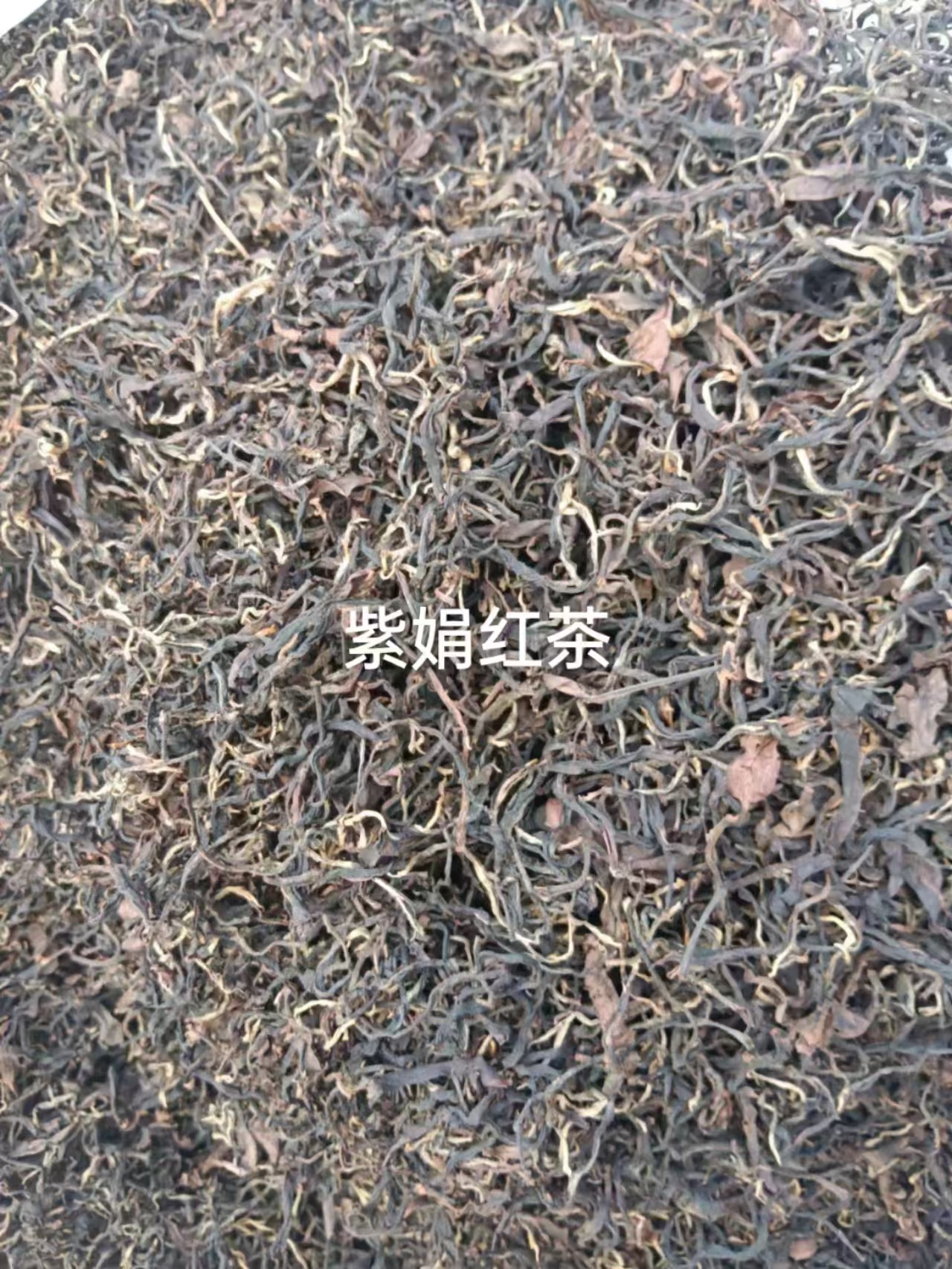 景谷古树茶紫娟红茶