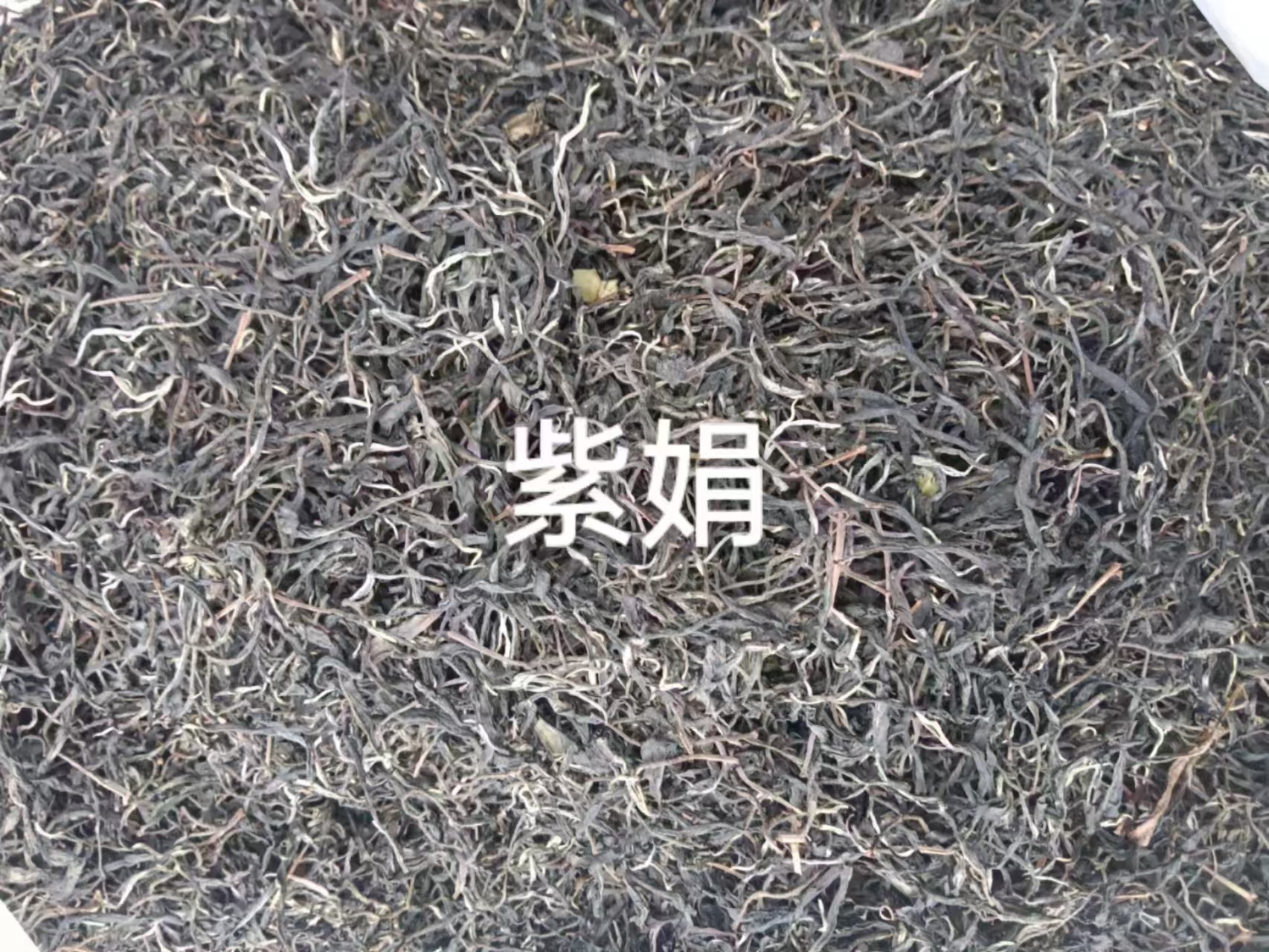 景谷古树茶紫娟