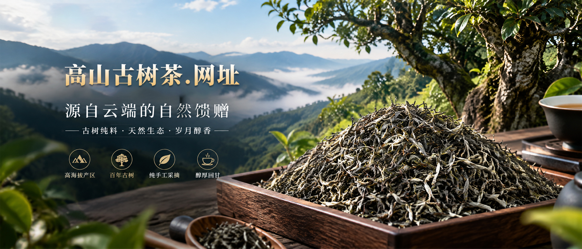 首页Banner02