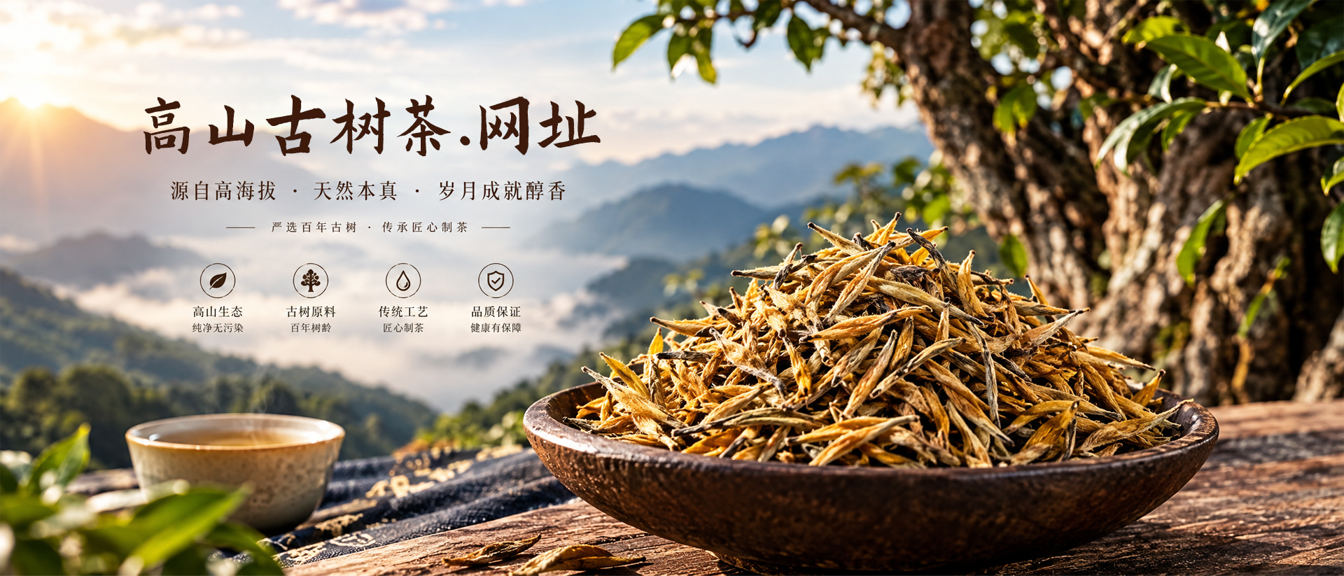 首页Banner01