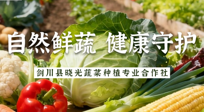 新趋势赋能新农业:剑川晓光蔬菜合作社的转型实践之路