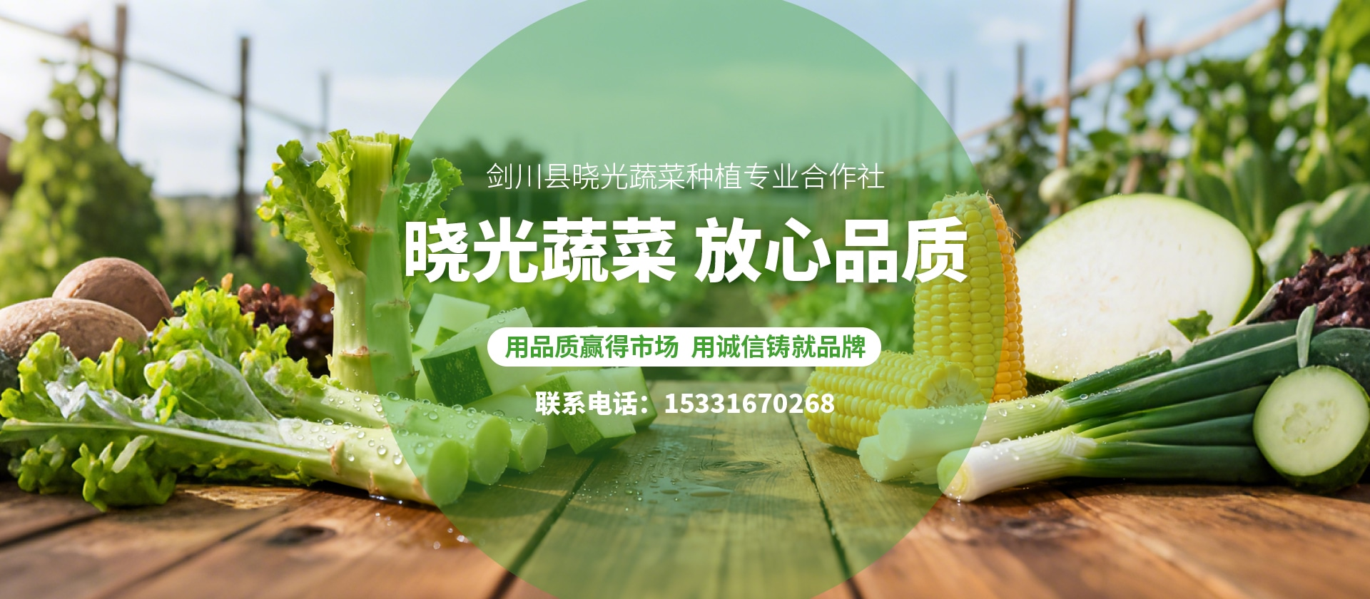 深耕高原绿色蔬菜产业，赋能乡村振兴：剑川县晓光蔬菜种植专业合作社发展资讯