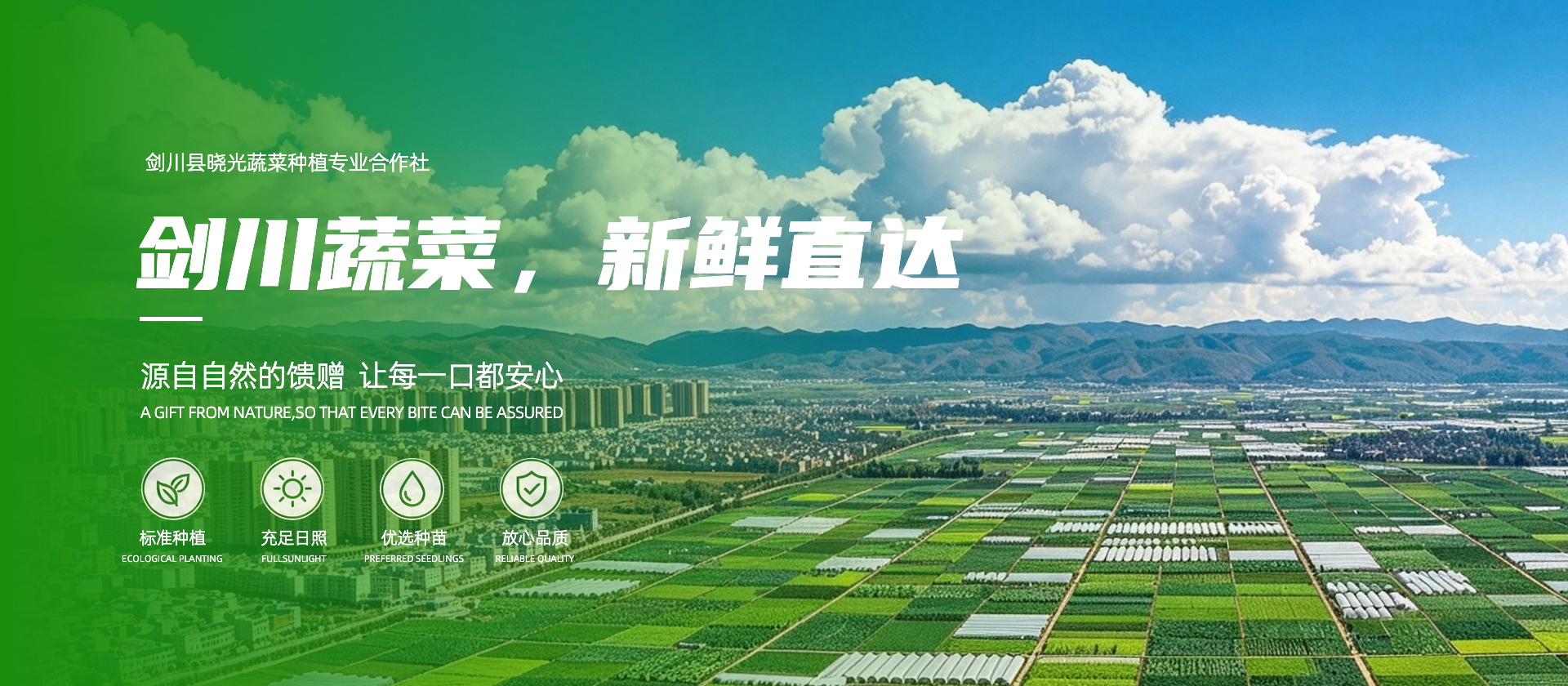 首页Banner01