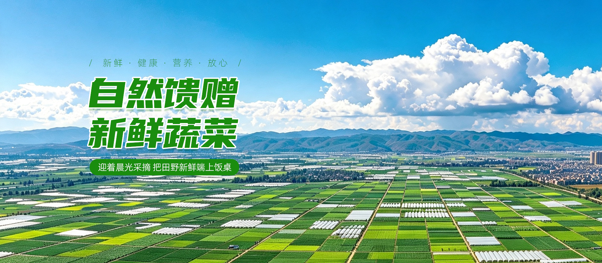 首页Banner02