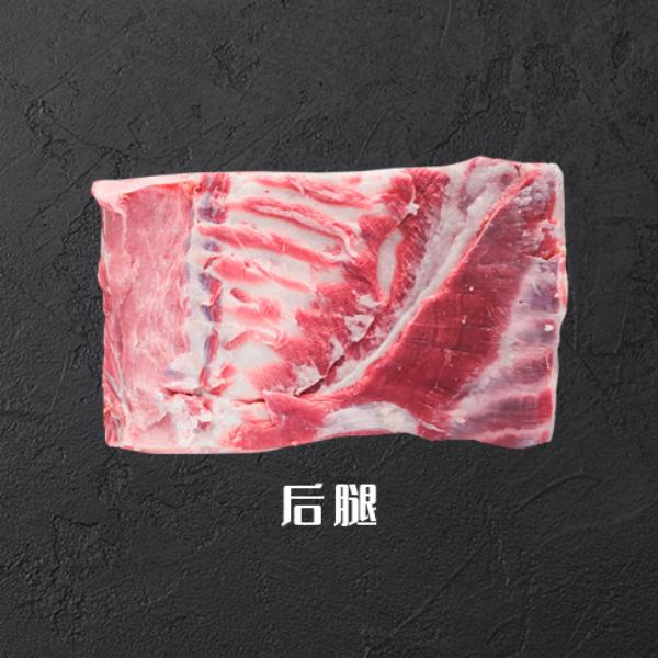 后腿