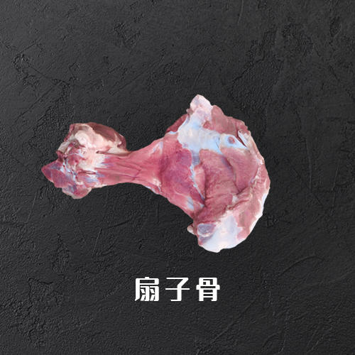扇子骨
