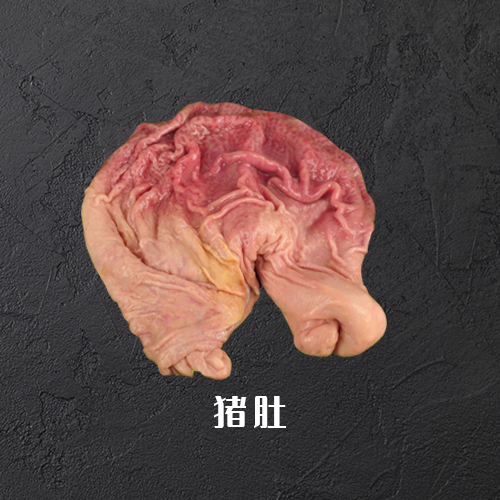 猪肚