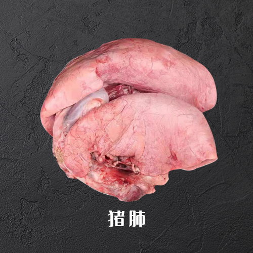 猪肺