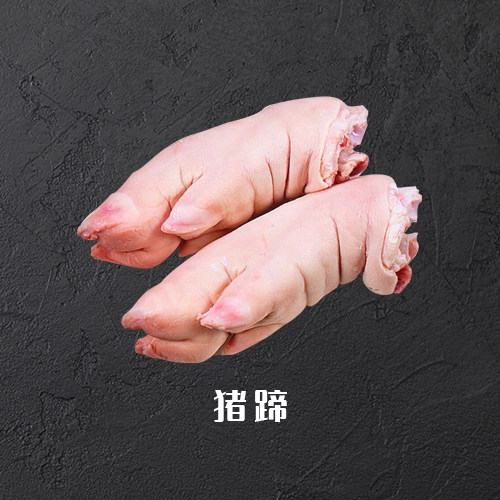 猪蹄