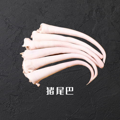 猪尾巴