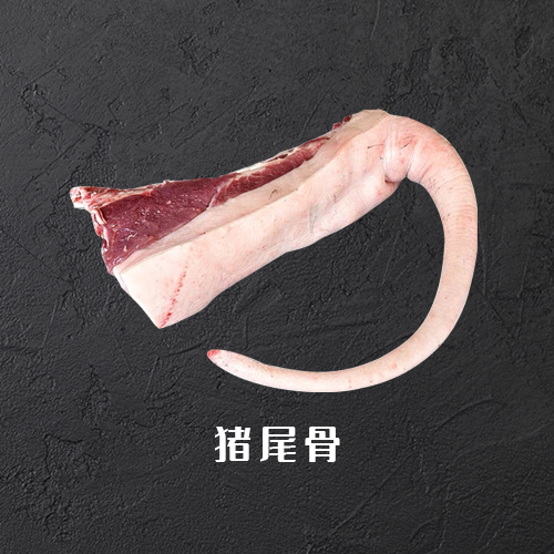 猪尾骨