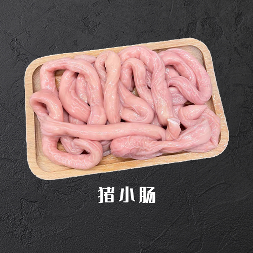 猪小肠
