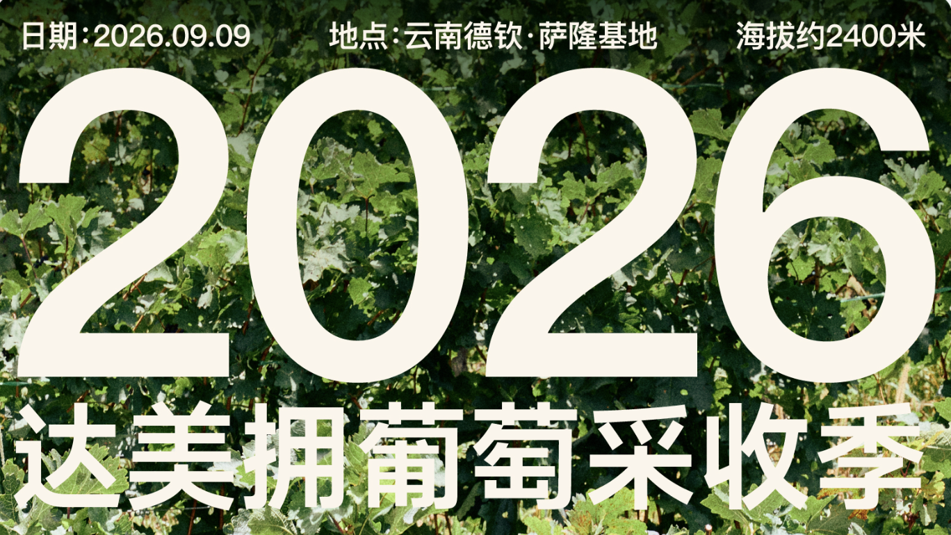 达美拥2026采收季——萨隆基地