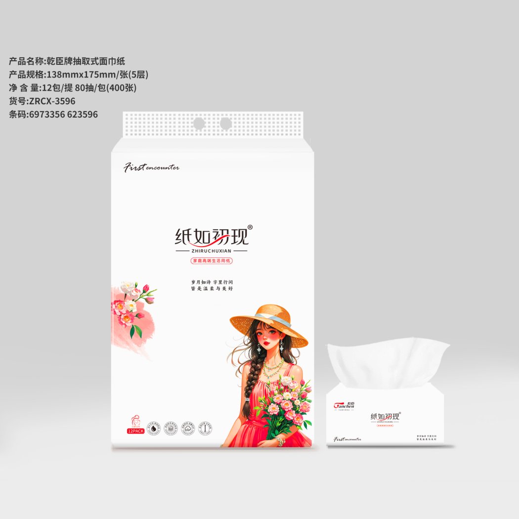 乾臣138抽纸12包装（6973356623596）