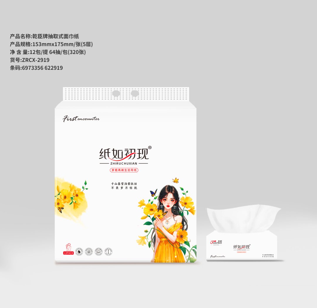 乾臣153抽纸12包装（6973356622919）
