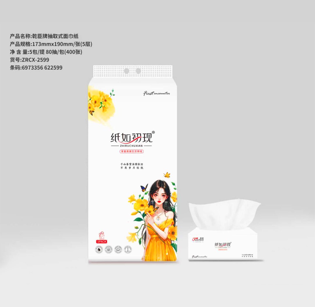 乾臣173抽纸5包装（69733566225999）