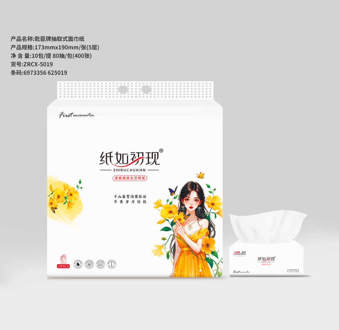 乾臣173抽纸10包装（6973356625019）