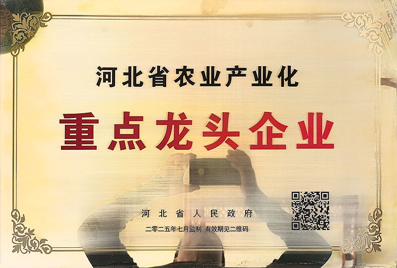 重点龙头企业